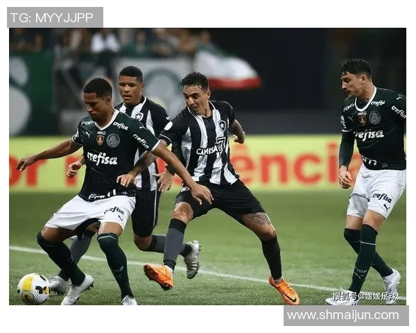 佩洛塔斯对决精彩回顾与赛后分析揭示战术秘密与球员表现