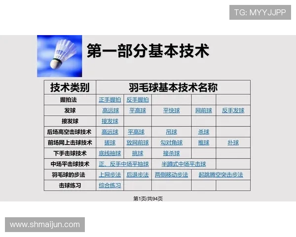 成都羽毛球队防守策略揭秘:深度解析羽毛球技术与战术的完美结合 成都羽毛球队防守策略揭秘:深度解析羽毛球技术与战术的完美结合