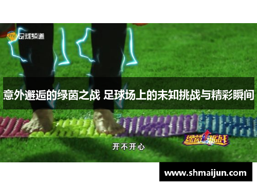 意外邂逅的绿茵之战 足球场上的未知挑战与精彩瞬间