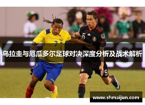 乌拉圭与厄瓜多尔足球对决深度分析及战术解析