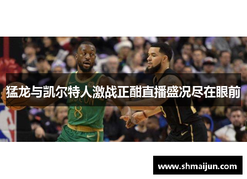 猛龙与凯尔特人激战正酣直播盛况尽在眼前