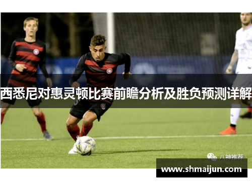 西悉尼对惠灵顿比赛前瞻分析及胜负预测详解