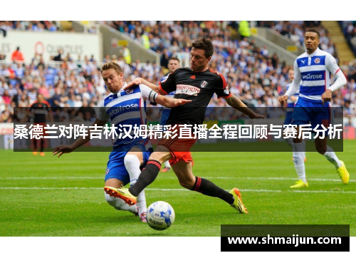 桑德兰对阵吉林汉姆精彩直播全程回顾与赛后分析