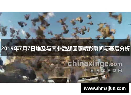 2019年7月7日埃及与南非激战回顾精彩瞬间与赛后分析